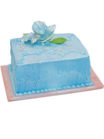 Svečane torte